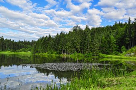 Odomovo jezero